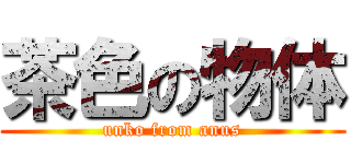 茶色の物体 (unko from anus)