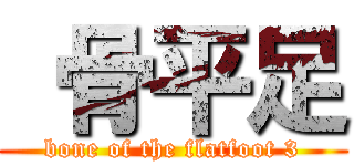  骨平足 (bone of the flatfoot 3)