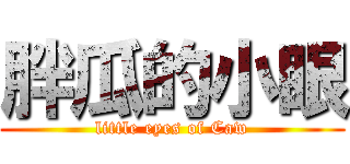 胖瓜的小眼 (little eyes of Caw)