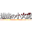进击の小火虎 (attack on titan)