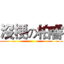 沒梗の柏睿 ()