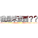 我是笨東西？？ ()