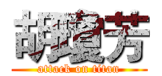 胡瓊芳 (attack on titan)