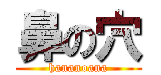 鼻の穴 (hananoana)