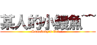 某人的小鰻魚~~ (Somebody's Eel~~)