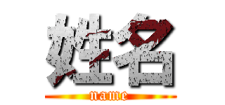 姓名 (name)