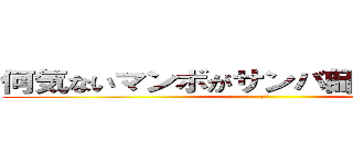 何気ないマンボがサンバ師匠をきずつけた (わお)