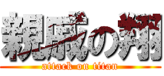 親戚の翔 (attack on titan)