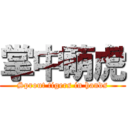 掌中萌虎 (Sprout tigers in hands)