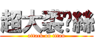 超大裘妮絲 (attack on titan)