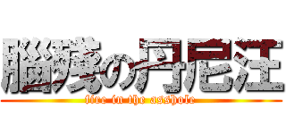 腦殘の丹尼汪 (fire in the asshole)