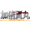加倍貢丸 (Meatballs)