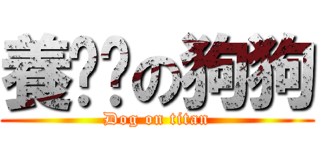 養貓貓の狗狗 (Dog on titan)
