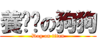 養貓貓の狗狗 (Dog on titan)