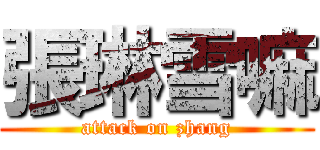 張琳雪嘛 (attack on zhang)