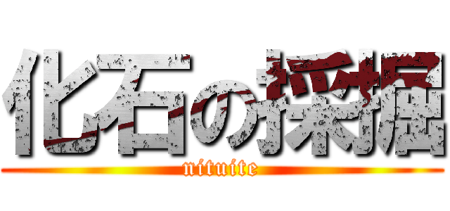 化石の採掘 (nituite)