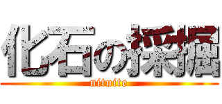 化石の採掘 (nituite)