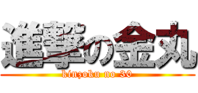 進撃の金丸 (kinzoku no 30)