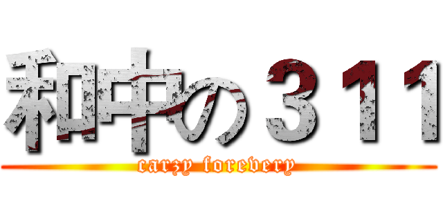 和中の３１１ (carzy forevery)