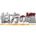 伯方の塩 (made in mexico)