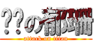 耍憨の郁珊 (attack on titan)