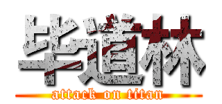 毕道林 (attack on titan)