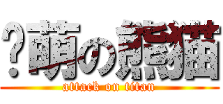 卖萌の熊猫 (attack on titan)