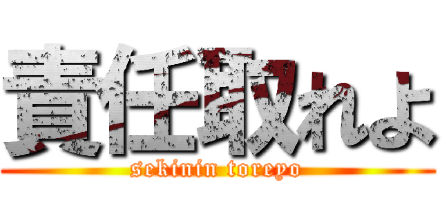 責任取れよ (sekinin toreyo)