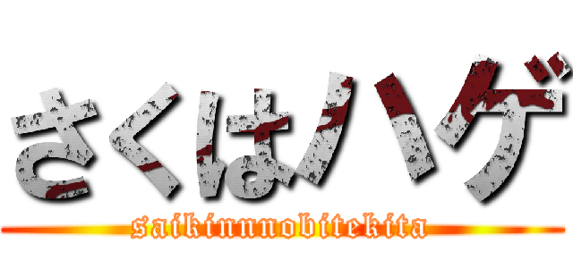 さくはハゲ (saikinnnobitekita)