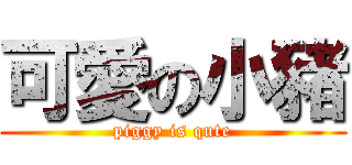 可愛の小豬 (piggy is qute)