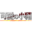 可愛の小豬 (piggy is qute)