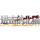 进击的北猫 (attack on titan)