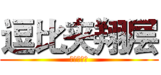 逗比夹翔层 (翔翔加成爱)