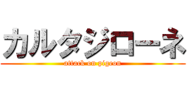 カルタジローネ (attack on pigeon)