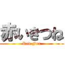 赤いきつね (Red Fox)