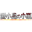 愛小島の小嵐 (sleVer.)