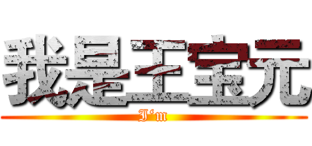 我是王宝元 (I‘m)