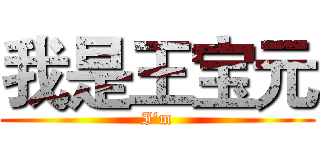 我是王宝元 (I‘m)
