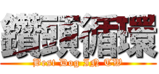 鑽頭循環 (Best Dog IN TW)