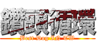 鑽頭循環 (Best Dog IN TW)