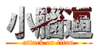 小腦逼 (attack on titan)