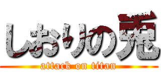 しおりの兎 (attack on titan)