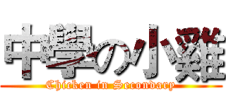 中學の小雞 (Chicken in Secondary)