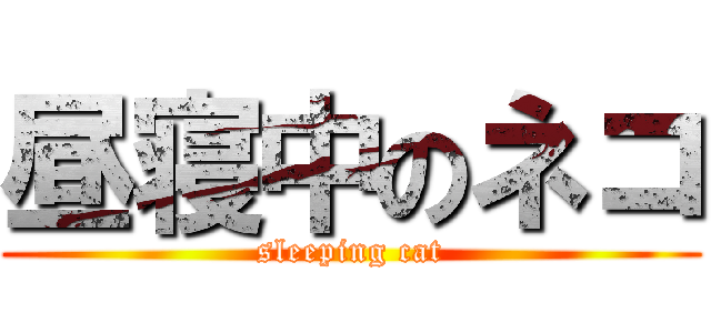 昼寝中のネコ (sleeping cat)