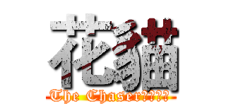 花貓 (The Chaser暗殺部隊)