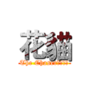花貓 (The Chaser暗殺部隊)