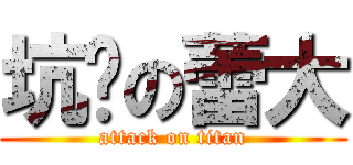 坑爹の蕾大 (attack on titan)