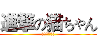 進撃の猫ちゃん (進撃の猫ちゃん)