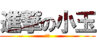 進撃の小玉 (阿宅)