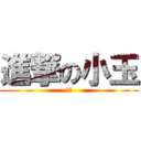 進撃の小玉 (阿宅)